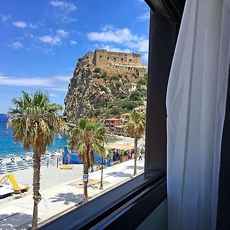 Bb Oasis Scilla